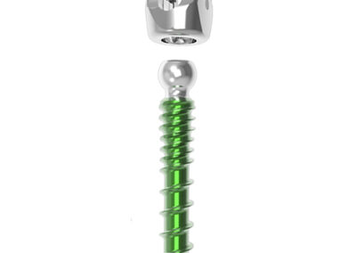 Precision Spine Modular Cortical Screw